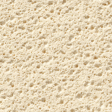 Sponge Clean Seamless Texture