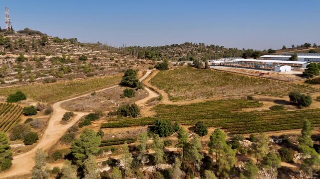 Aerial view of Beit Meir vineyards and rural landscape with dirt paths and rolling hills in Beit Meir, Jerusalem District, Israel.