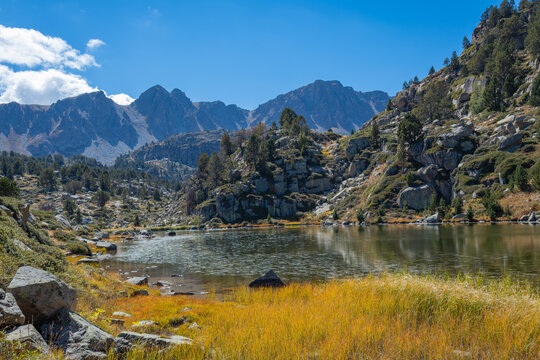 View of Llac de Pessons surrounded by rocky mountain slopes, pine trees, and autumn-colored grass under a clear blue sky in Grau Roig, Encamp, Andorra.