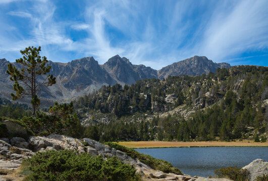 View of Llac de Pessons, a serene mountain lake surrounded by pine forests and rocky peaks under a bright blue sky in the Pyrenees, Grau Roig, Encamp, Andorra.