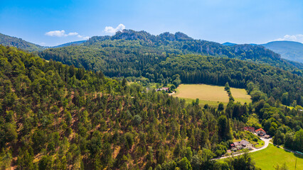 Obraz premium A forested mountain ridge rises above roadside houses.. Green trees cover rocky slopes above a yellow meadow and a curving road beside small buildings.