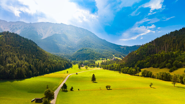 Trees stand beside a lane crossing a mountain meadow.. A pale road crosses green grass toward gray ridges, with scattered conifers and cloud shadows.