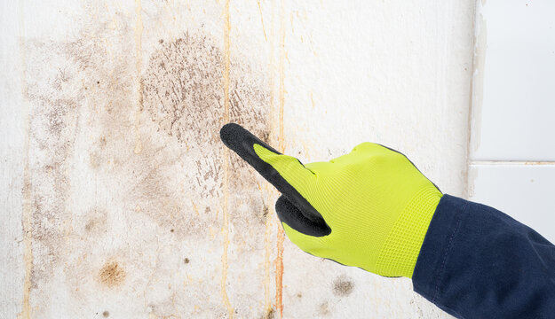 A gloved hand of a worker pointing to the damp area on the wall.