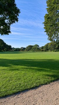 Park lawn bordered by trees with walking path foreground