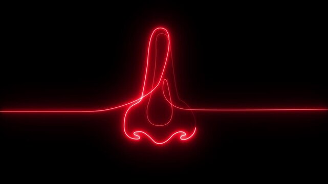 Glowing neon one line drawing of human nose, minimalist facial anatomy illustration, simple modern abstract vector motion graphic for medical design. 4k animation video.