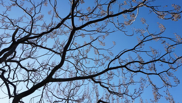 Filtrando el saber

&Aacute;rbol en el ajardinado bot&aacute;nico de la Universidad del Pa&iacute;s Vasco (UPV/EHU) el Arboretum, situado en el campus de Bizkaia, en el &aacute;rea de Leioa y Erandio.