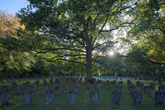 Rows of stone grave markers at a historic World War I military cemetery in Nurnberg Germany