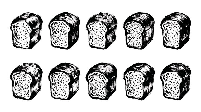 Set of ten hand drawn bread loaf sketches in brush stroke ink style