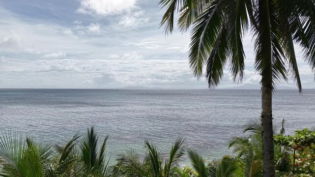 Philippines, Coconut View. Aerial View. Video