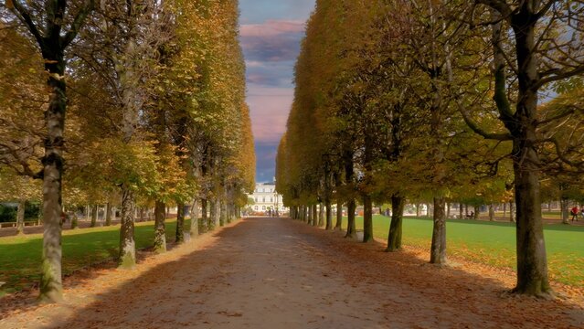 View of a tree-lined path in a park during autumn with golden leaves and a soft sky in Paris, Ile-de-France, France.