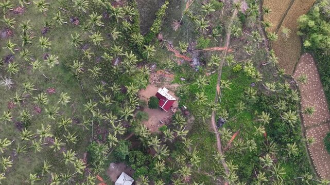 Philippines. Forest and Costal homes, Aerial View. Video