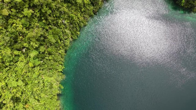 Philippines. Forest and Water, Aerial View. Video