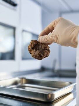 Vertical photo of a scientist hand in a glove holding a mineral sample in a laboratory. Polymetallic nodule analysis for deep sea mining research. Geological testing