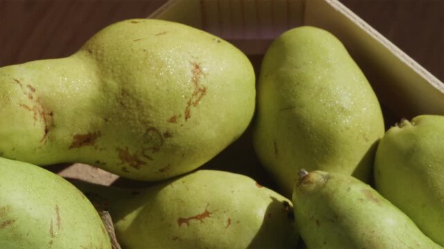 Close up pan across fresh orchard pears in rustic wooden box