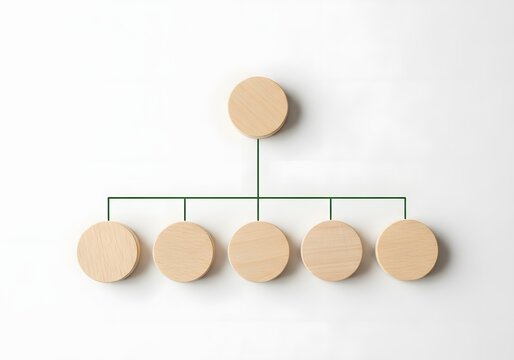 Wooden circles forming an organizational chart hierarchy structure on clean white background