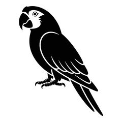 Fototapeta premium Black parrot with detailed plumage is depicted as a silhouette