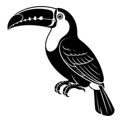Fototapeta premium Black and white toucan illustration with detailed beak a striking silhouette