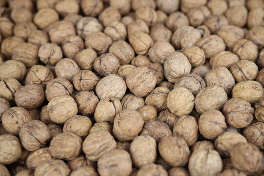 Whole walnuts in their shells filling the frame
