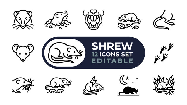 Shrew Icons Set: A collection of twelve minimalist line art icons depicting shrews in various poses and environments, including feeding, running, and nocturnal scenes.