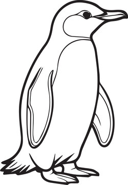 penguin vector illustration