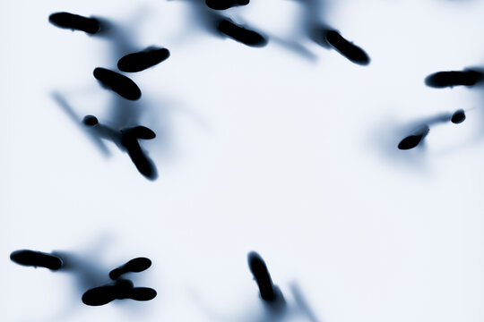 3D overhead human crowd moving across bright floor with cool blue shadows