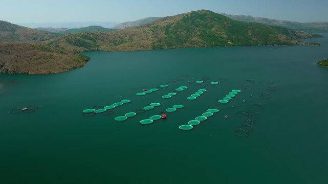 Aerial View of Floating Aquaculture Pens in Albania
