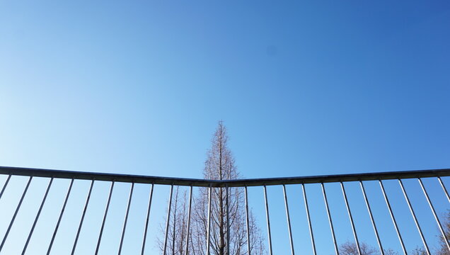 "Mirador" ajardinado bot&aacute;nico de la Universidad del Pa&iacute;s Vasco (UPV/EHU) el Arboretum, situado en el campus de Bizkaia, en el &aacute;rea de Leioa y Erandio.