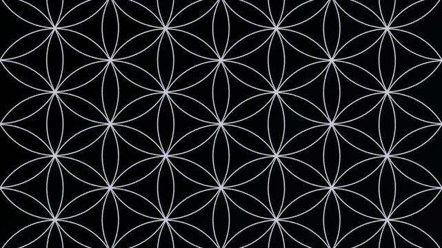 Sacred geometry background in midnight silver seamless loop