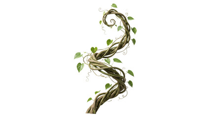 Twisted green vine with small leaves and spiral isolated on transparent background © PNG Studio 99