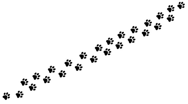 Paw prints trail black animal footsteps path vector illustration isolated on white background