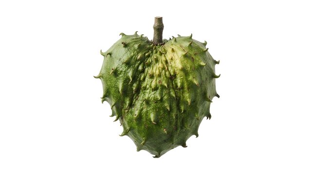 Fresh Ripe Soursop Fruit Isolated on White Background, Guanabana or Graviola Tropical Fruit with Spiky Green Skin for Healthy Food Photography