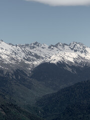 Fototapeta premium Muted mountain landscape with snowy ridge and forested valley, calm minimalist tones