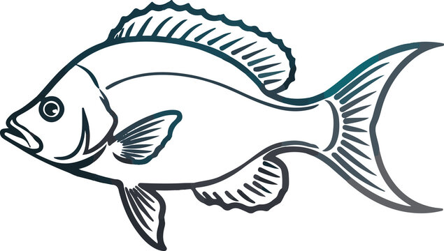 vector illustration of a fish