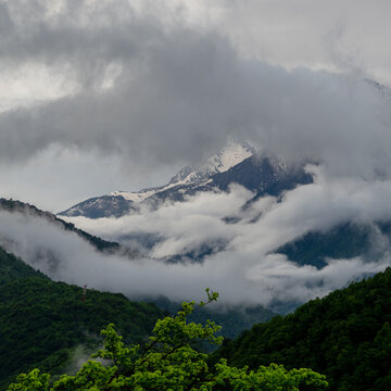 Fresh green branch before cloud-filled mountain valley and snowy peak, square spring view