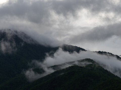 Forested hills under low rain clouds, gloomy rainy day mood in green mountains