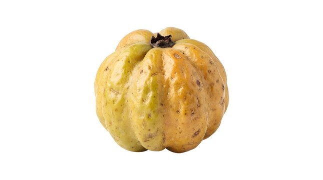 Single Ripe Marula Fruit Isolated on White Background, Studio Shot of Sclerocarya birrea Tropical Fruit for Culinary and Cosmetic Ingredient Use