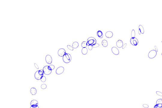 Abstract blue floating circular ring and bubble pattern vector