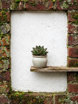 A textured white stucco background is framed by weathered red bricks heavily covered with patches of green moss and lichen around the edge, backdrop, weathered, edge
