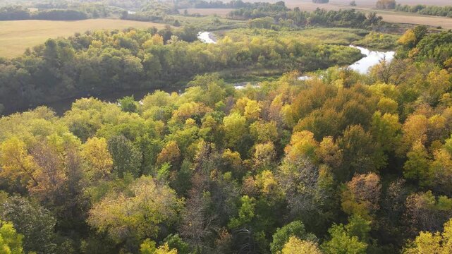 Drone moving backwards over a colorful autumn forest and a winding river
