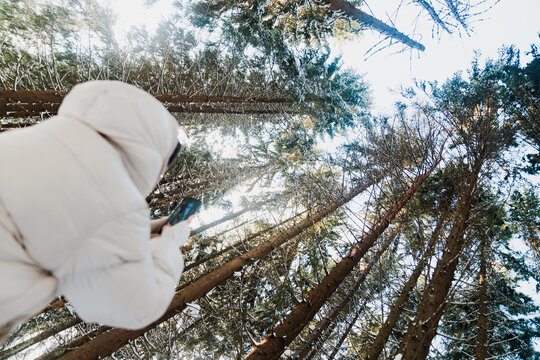 Person Takes Photo of Tall Trees in Winter Forest