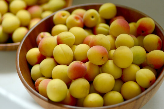 Close-up of freshly washed plums, ready for making fruit wine