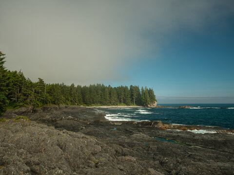 Botanical beach on Vancouver Island, Canada