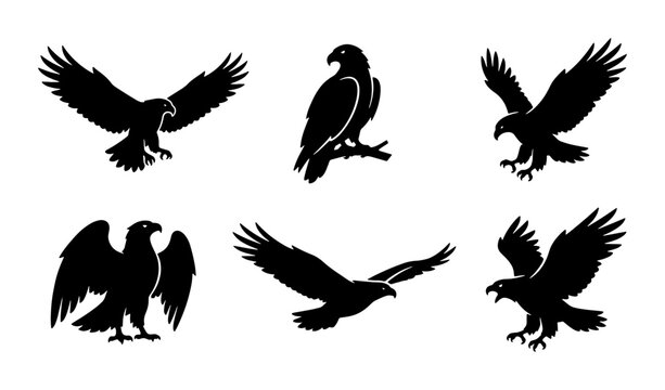 Eagle silhouettes set with soaring, perched and landing poses for wildlife or freedom themes