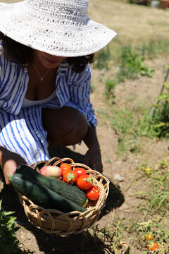 Fresh vegetable basket held in sunlit garden
