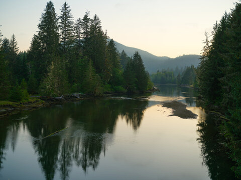 River on Vancouver island in summer
