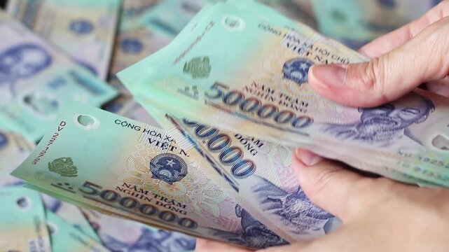 Close up view of woman's hands counting Vietnamese currency notes (VND). Cash money of five hundred thousand dong denomination. Real time motion video