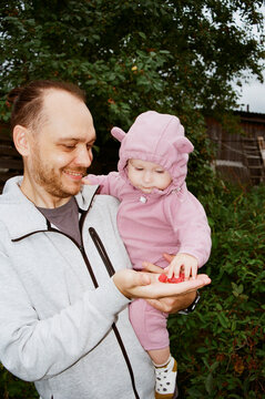 A father and child are enjoying berries straight from the bush.
