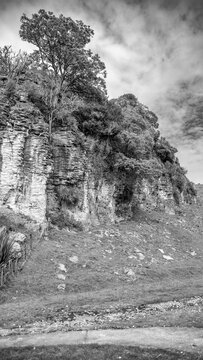 Waitomo Valley landscape with glowing caves and lush greenery on a sunny day New Zealand
