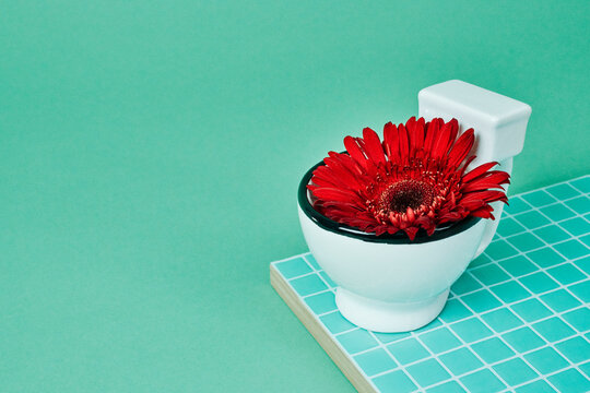 a close-up of a red gerbera daisy tucked into a miniature toilet bowl