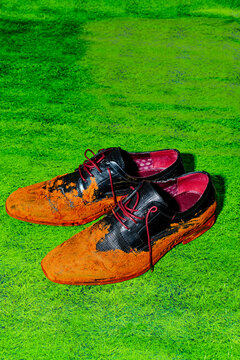 dried mud cakes black lace-up shoes for men against a green background